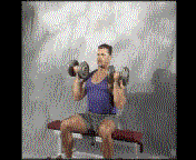Imaginea articolului: Arnold Press