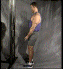 Imaginea articolului: Flexii la cablu pentru biceps