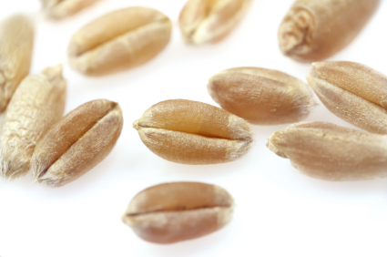 Cereale