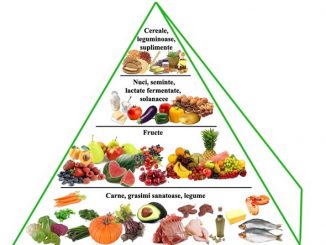 piramida alimentara pentru copii