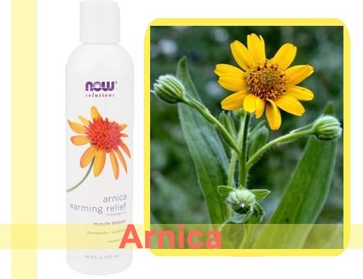 arnica