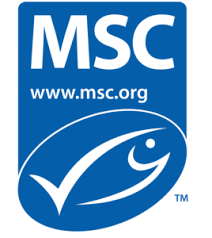 msc logo